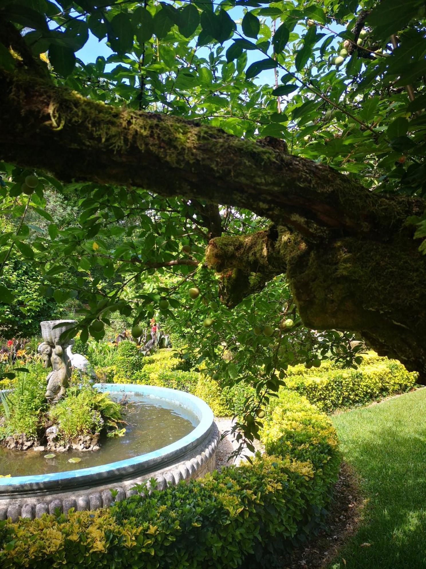 Quinta das Águias Aveiro Exterior foto
