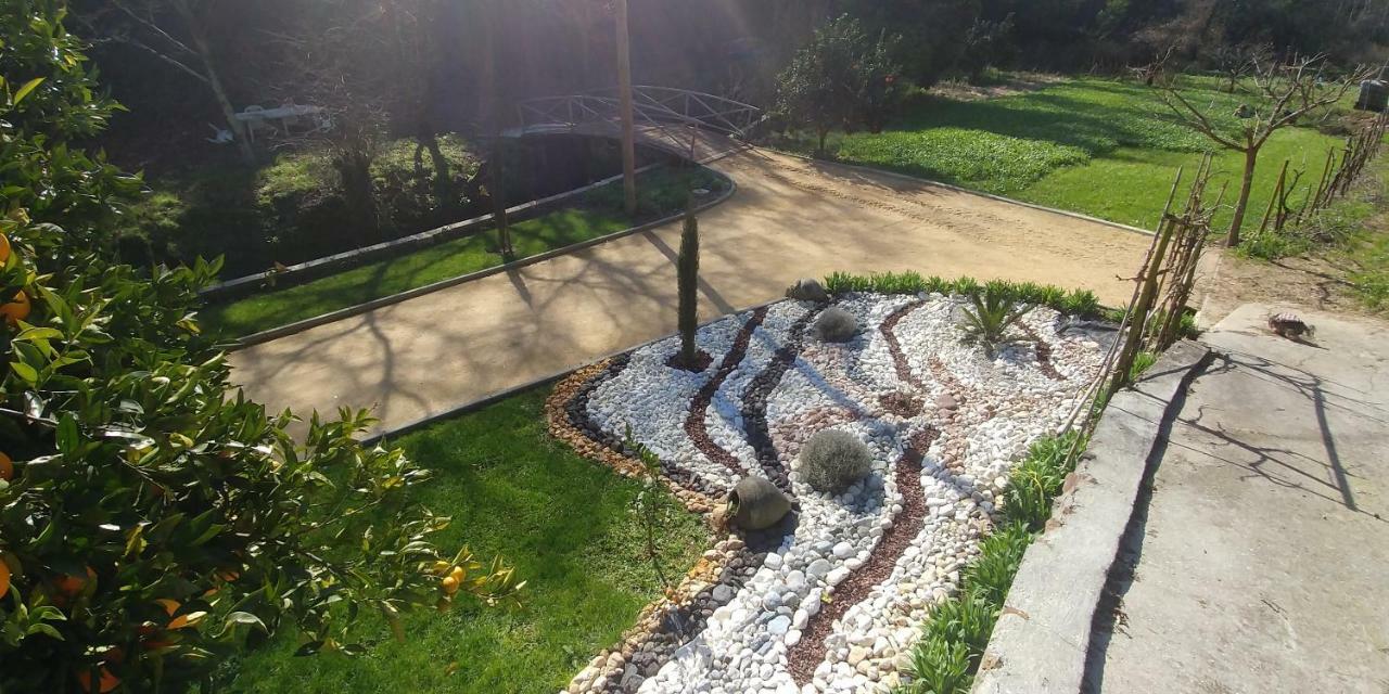 Quinta das Águias Aveiro Exterior foto